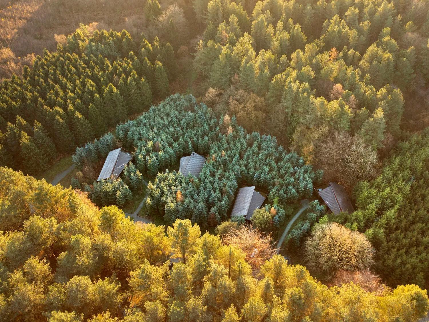 Delamere Forest Cabins - Forest Holidays Mouldsworth Exteriér fotografie