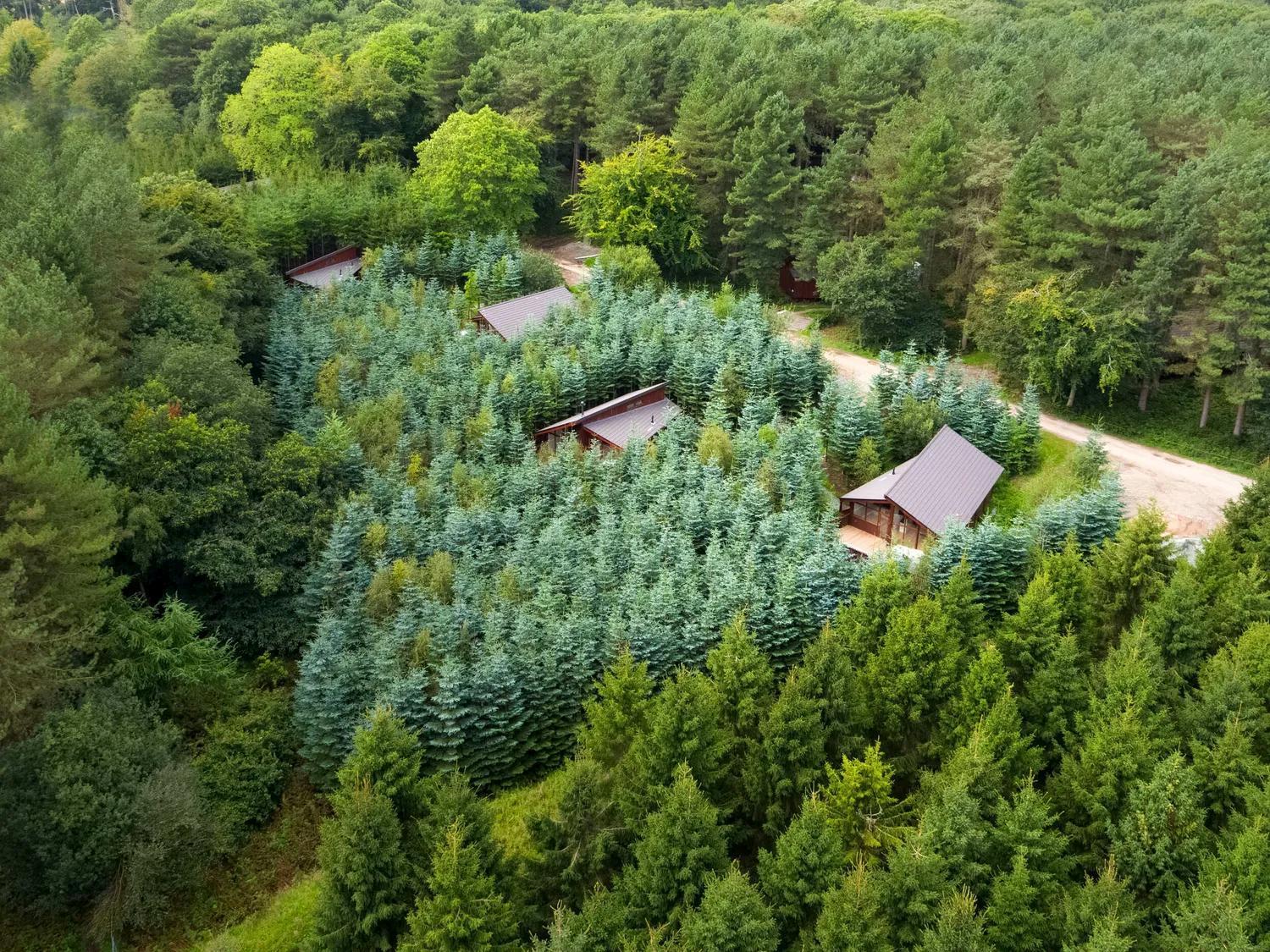 Delamere Forest Cabins - Forest Holidays Mouldsworth Exteriér fotografie